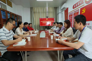 【党建双创·辐射引领】最靠谱的十大足球平台艺术史论系教工党支部向校内外党支部分享全国样板支部培育创建工作经验